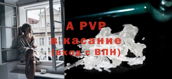 хмурый Арсеньев