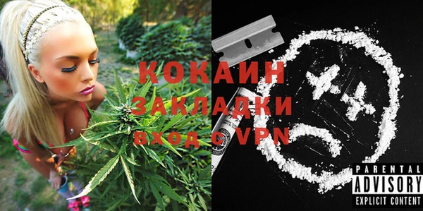 хмурый Арсеньев