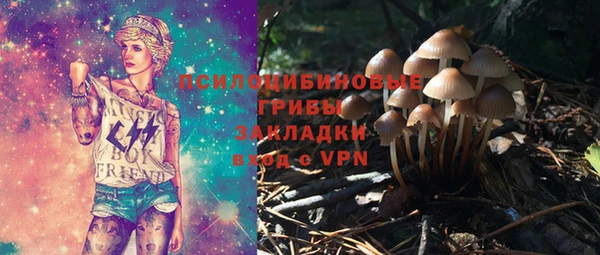 хмурый Арсеньев