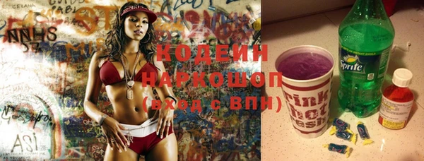 хмурый Арсеньев