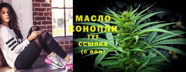 хмурый Арсеньев