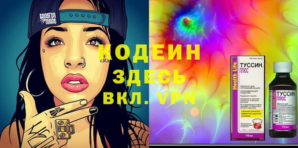 хмурый Арсеньев