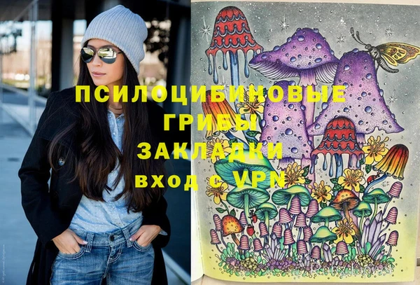 хмурый Арсеньев